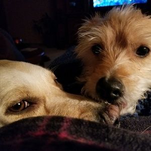 Meet your Posher, Cathy